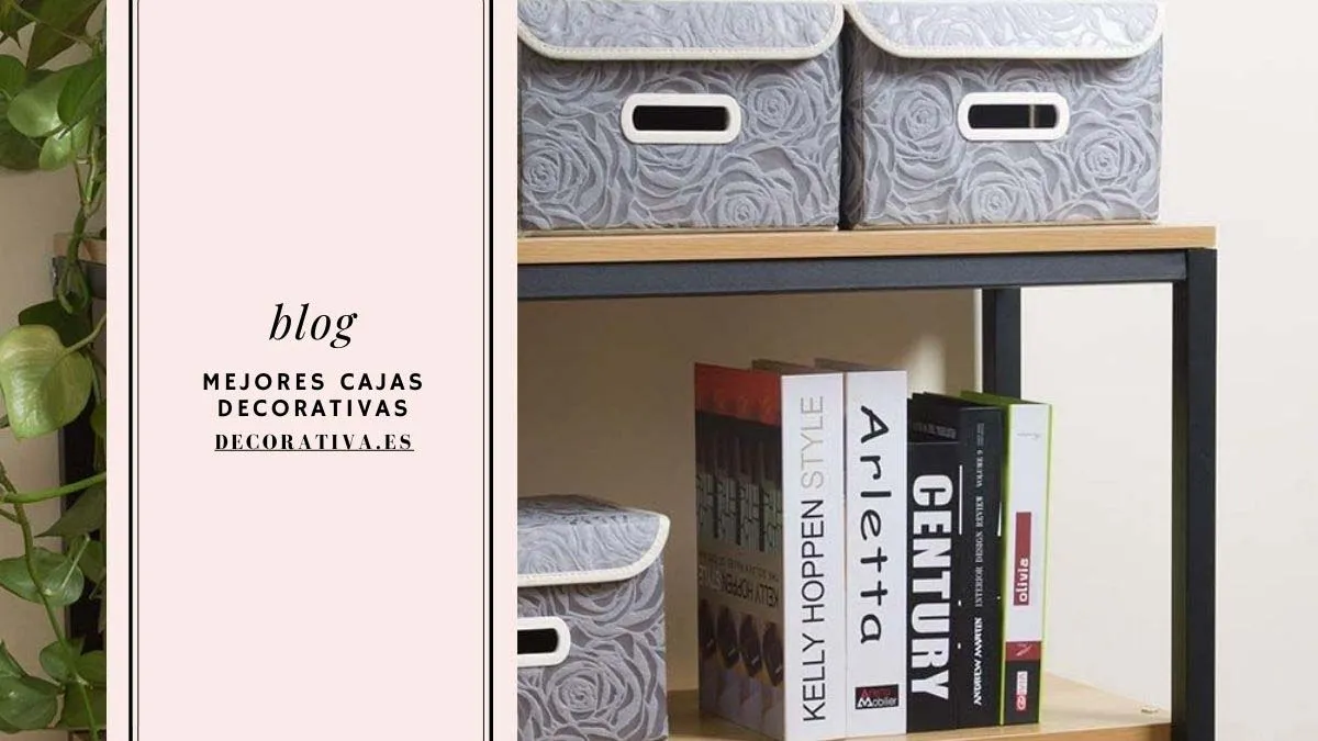 Modelos de caja decorativa alucinantes